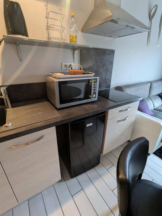 Gîte pour 4 personnes, animaux acceptés à Bruniquel - 3