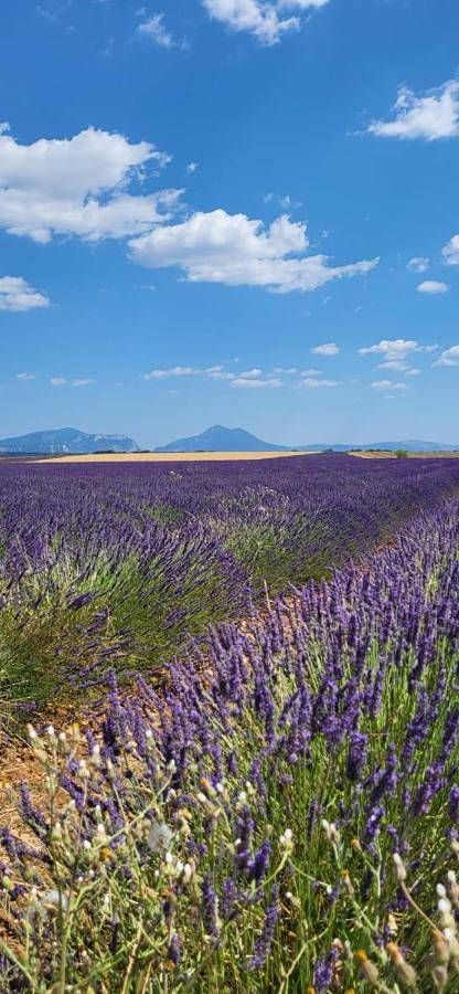 Location de vacances pour 2 personnes, avec vue et jardin à Annot - 2