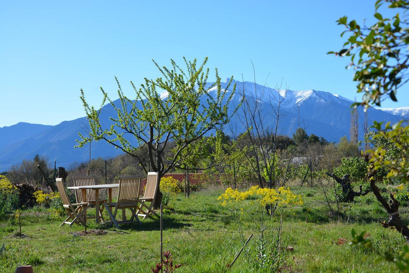 Près de la Fontaine - Chambre in Molitg-les-Bains, Parc naturel régional des Pyrénées catalanes