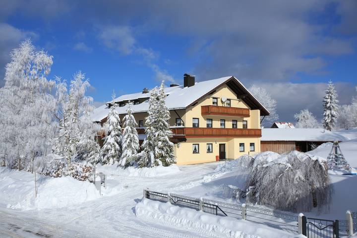 Ferienhaus für 60 Personen, mit Ausblick und Garten sowie Sauna, mit Haustier in Haidmühle - 4