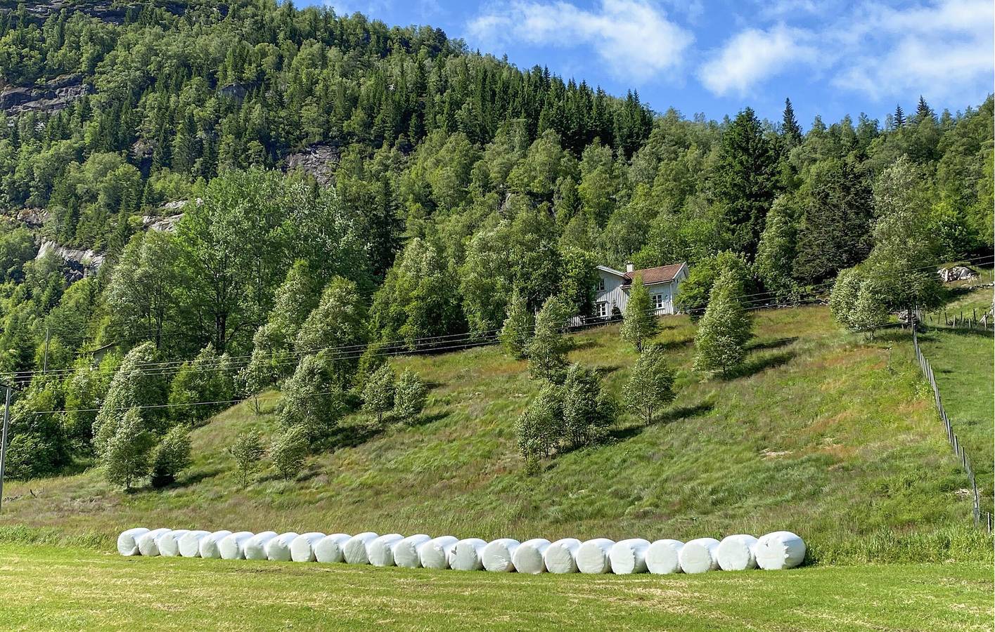 Ferienhaus für 7 Personen mit Garten in Sirdal