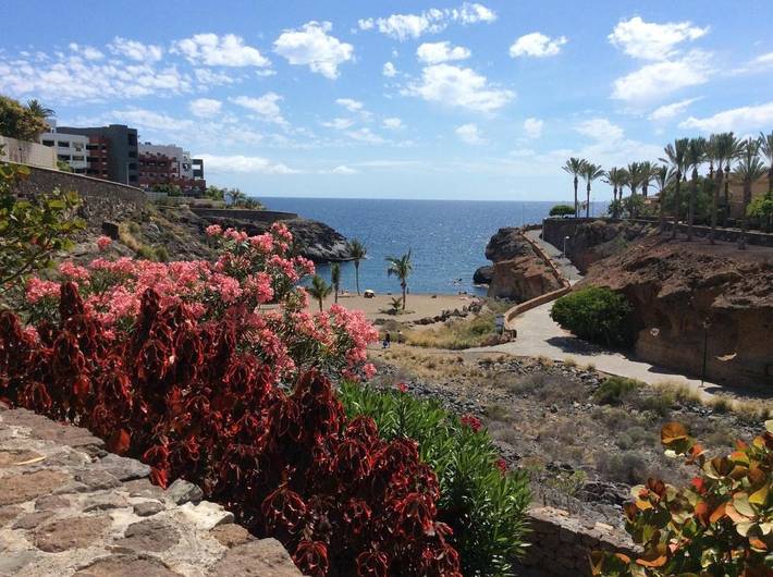Gîte pour 4 personnes, avec vue ainsi que piscine et jardin dans Playa Paraíso