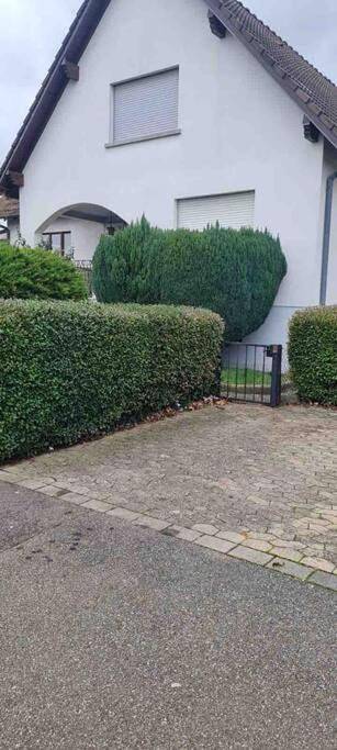 Gîte pour 7 personnes, avec jardin à Reichstett - 2