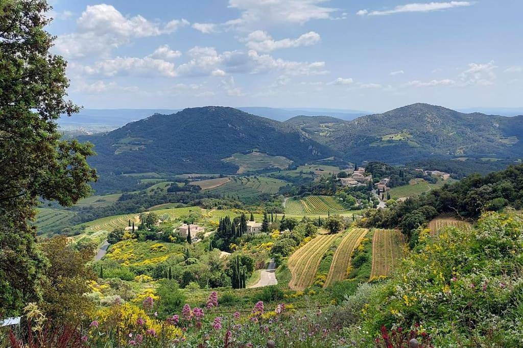 Situation exceptionnelle, villa Labori, luxueuse in Suzette, Vaucluse