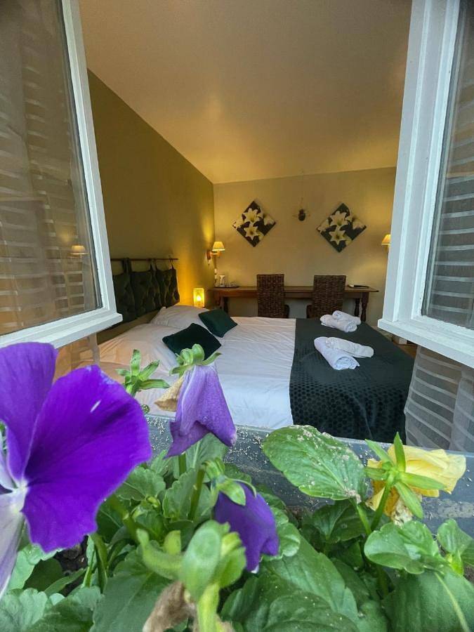 Hôtel pour 3 personnes, avec terrasse et jardin, animaux acceptés à Brinon-sur-Sauldre - 4
