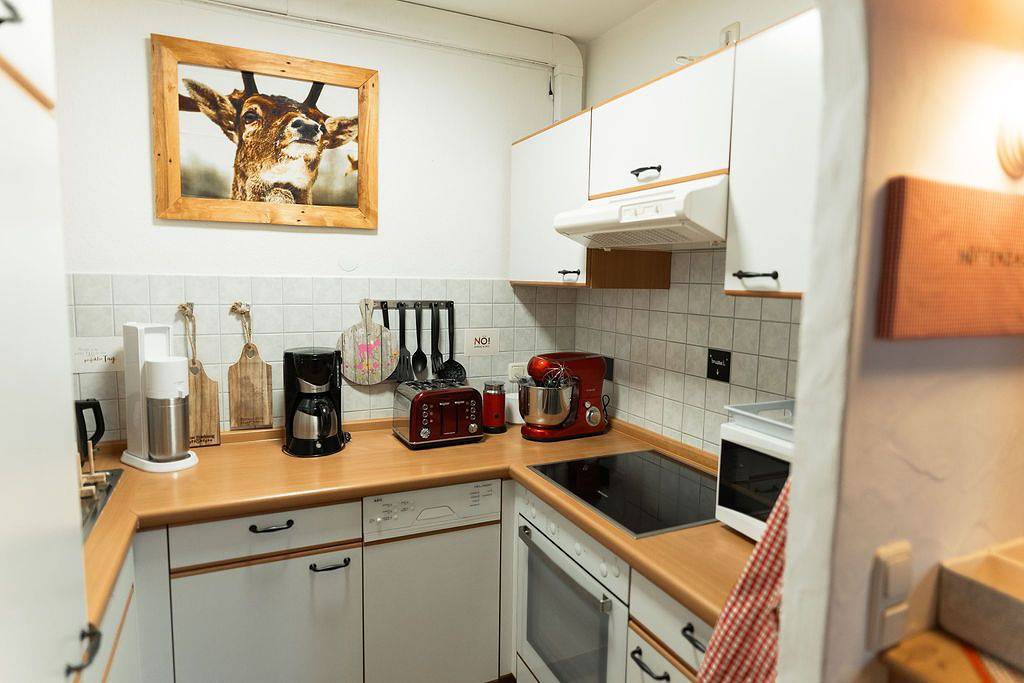 Ganze Wohnung, 2-Raum-Ferienwohnung Hüttenzauber in Bolsterlang, Bayerisch Schwaben