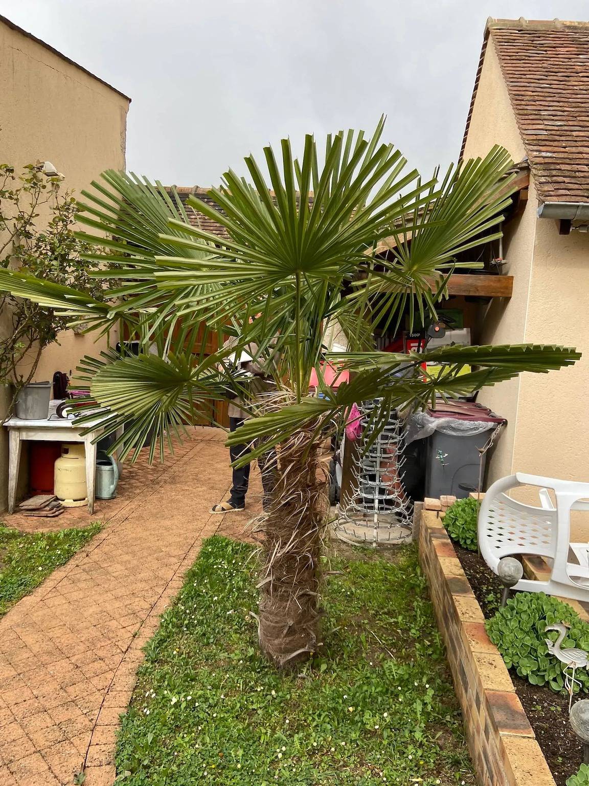 Studio entier, Charmant studio avec terrasse à Chenou, 20 m² in Chenou, Seine-et-Marne