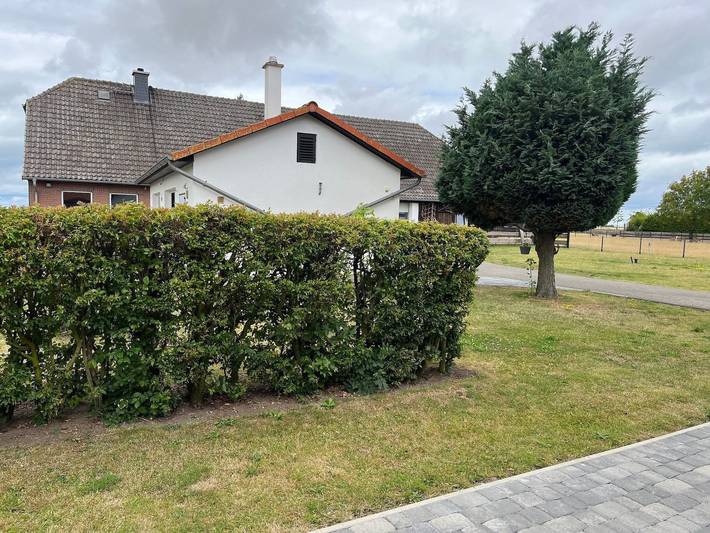 Ferienwohnung für 2 Personen, mit Garten in Schaprode - 2