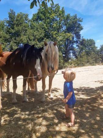 Location de vacances pour 2 personnes, avec jardin et vue ainsi que piscine et terrasse à Montcléra - 3