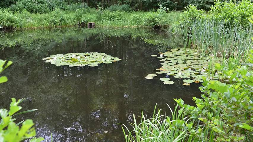 Ferienwohnung für 3 Personen, mit Garten in Soltau - 3