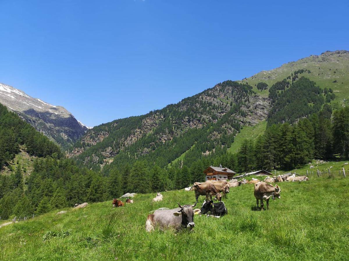 Monolocale intero, Studio in Peio, Parco Nazionale dello Stelvio