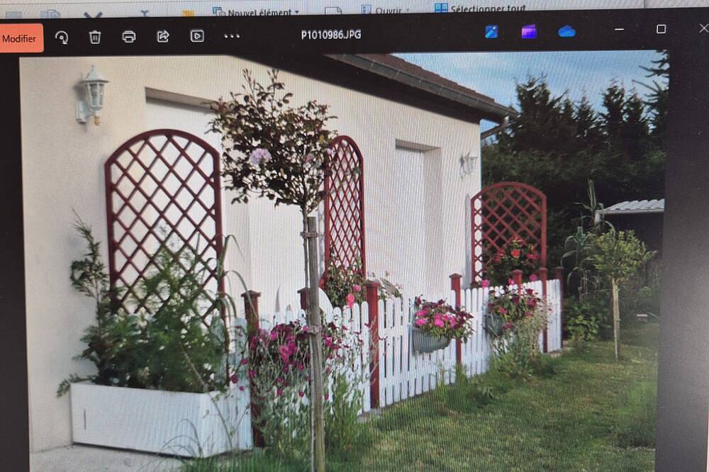 Gite 15 mn from Beauval zoo in Meusnes, Romorantin-Lanthenay und Umgebung