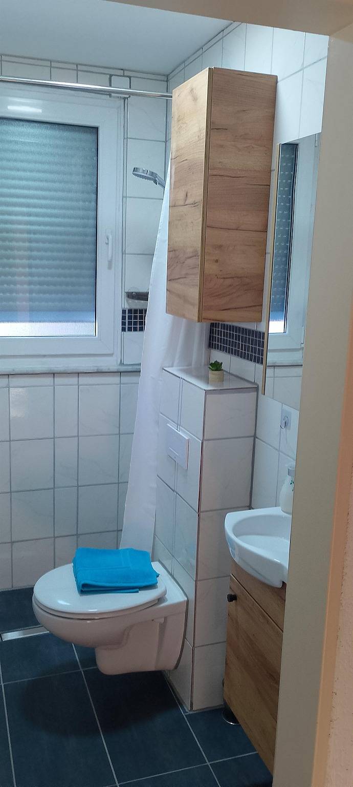 Ganze Ferienwohnung, Appartement/Fewo, Dusche, Wc, 1 Schlafraum in Gemünden, Nahetal