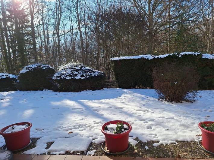 Gîte pour 2 personnes, avec vue ainsi que terrasse et piscine à Bœrsch - 3