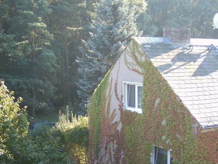 Ganze Wohnung, Ferienwohnung 'Wolf' mit privater Terrasse, Gemeinschaftsgarten und WLAN in Neuruppin, Ruppiner Seenland