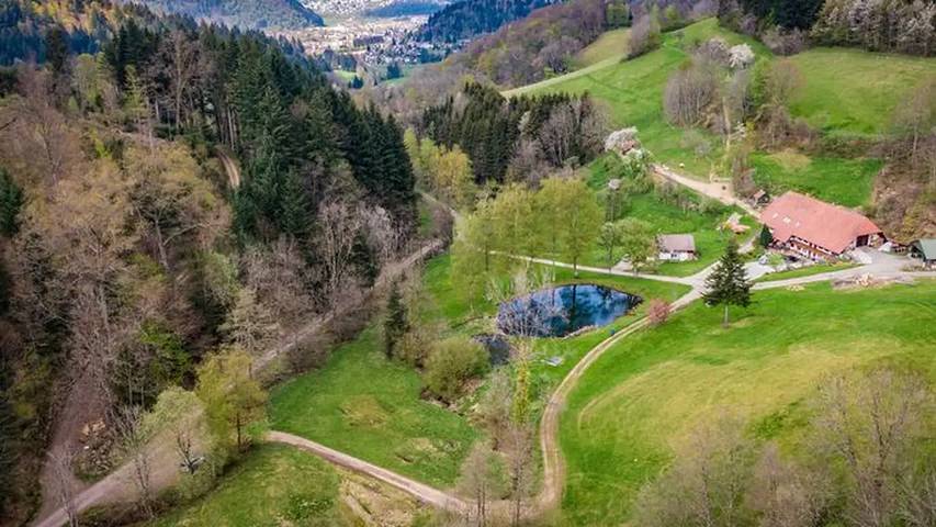 Ferienwohnung für 3 Personen, mit Balkon und Garten in Suedlicher Schwarzwald - 3