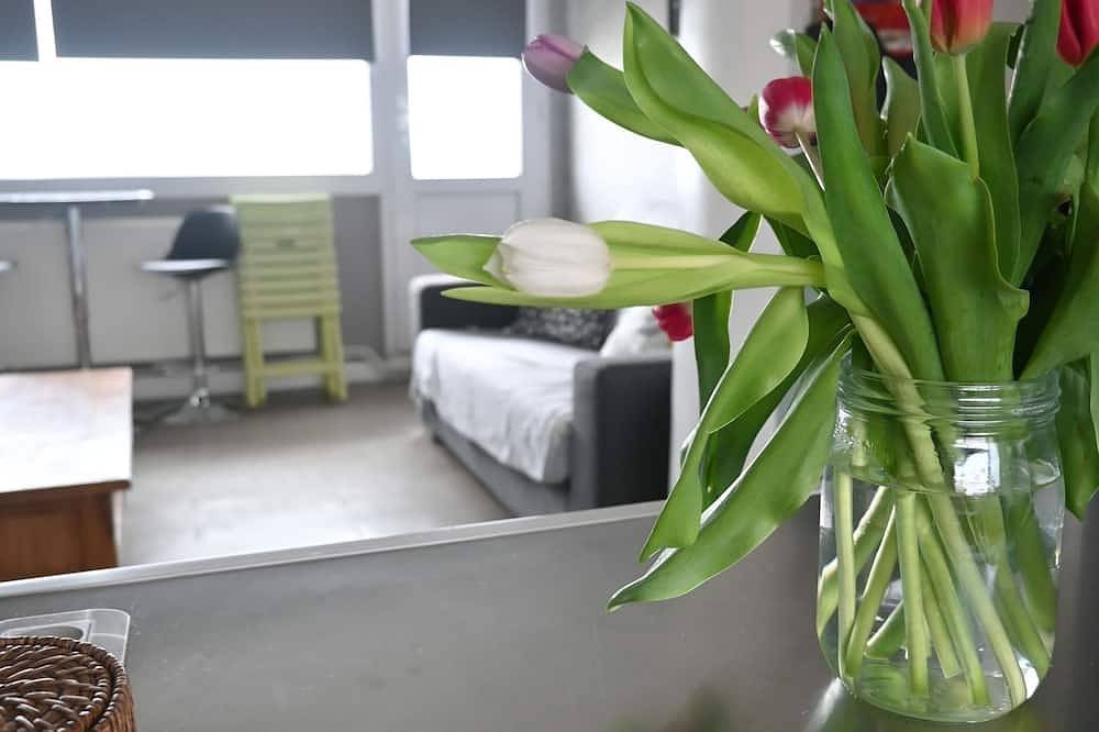 Appartement entier, Appartement lumineux, calme et spacieux situé face à la mer in Plage de Malo-les-Bains, Dunkerque