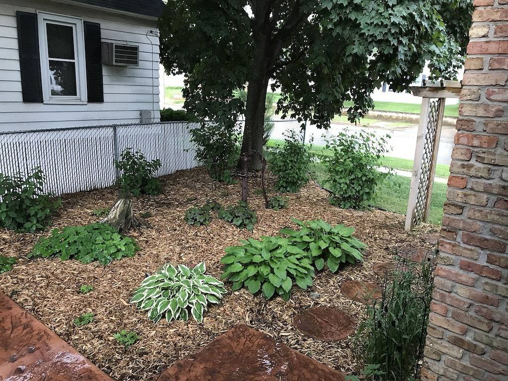 Century Cottage-Perfekt für Mayo- und Innenstadtbesucher! in Rochester (MN), Olmsted County