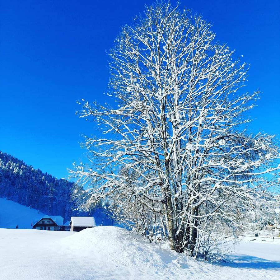 Al sentiero di Charly in Tarvisio, Karnischer Hauptkamm