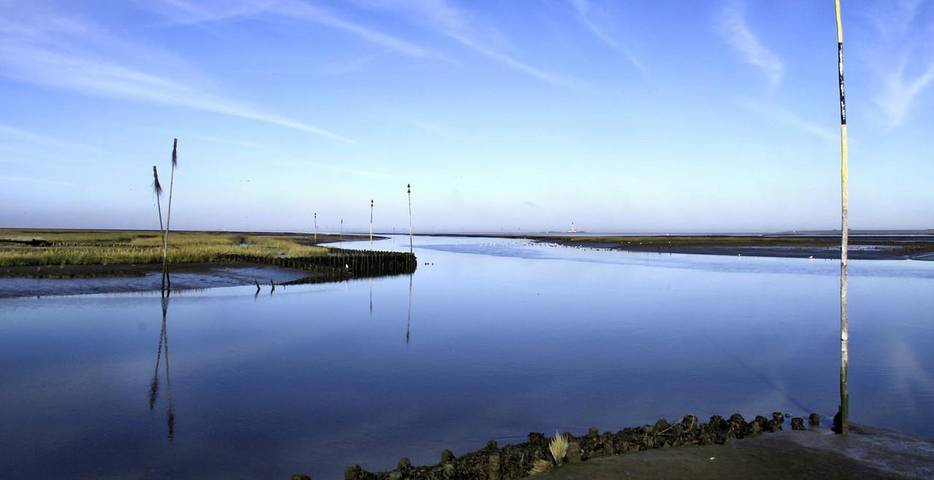 Ferienhaus für 2 Personen, mit Ausblick und Terrasse sowie Garten, kinderfreundlich in Nordfriesland - 3
