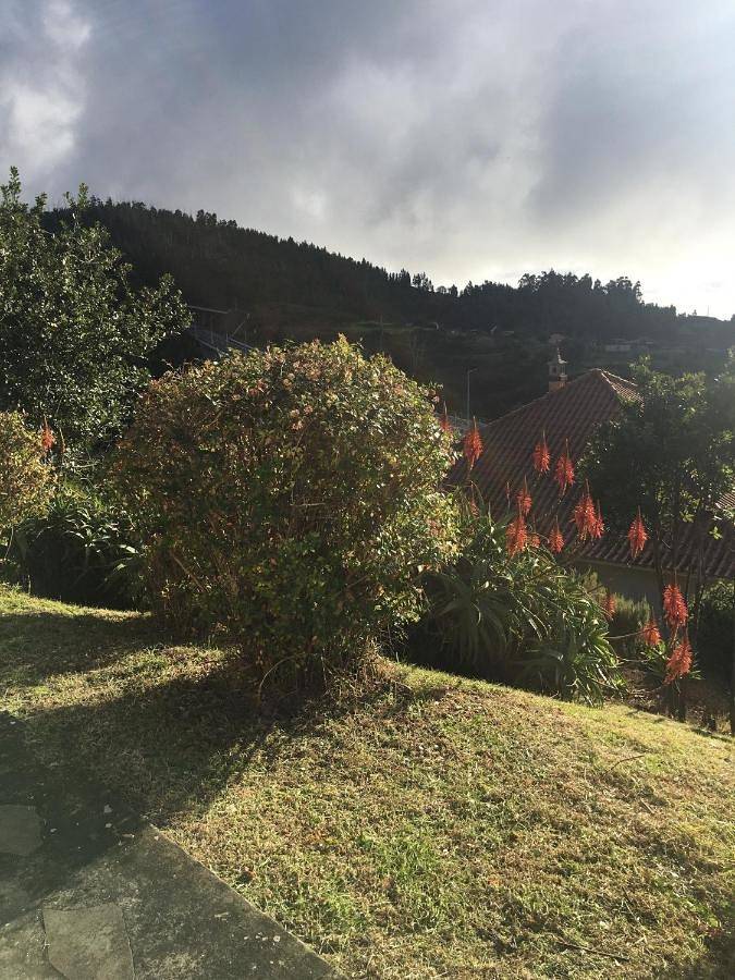 One-Bedroom Chalet in Ponta do Pargo, Madeira