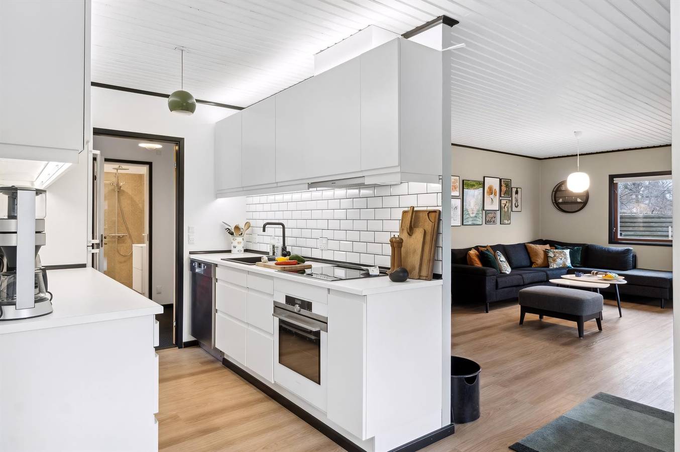 Pet friendly home in Vig with Wifi in Vig Lyng, Vig