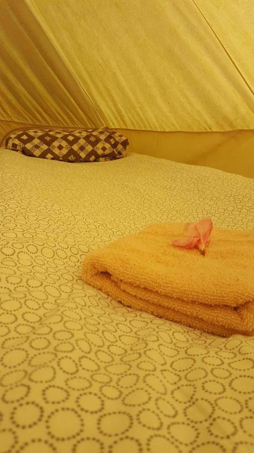 Location de vacances pour 2 personnes, avec vue et terrasse ainsi que jardin et piscine, animaux acceptés à Sainte-Foy-la-Longue - 4