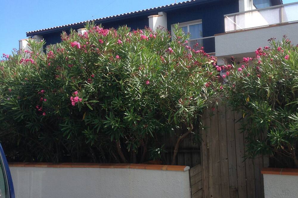 Apartamento entero, Cap-Ferret Center T2 Jardinet Sud a 50m Oceane Beach. Promociones 10% Julio / Agosto in Lège-Cap-Ferret, Region de Arcachon