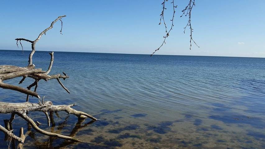 Ferienwohnung für 3 Personen, mit Garten in Garz/Rügen