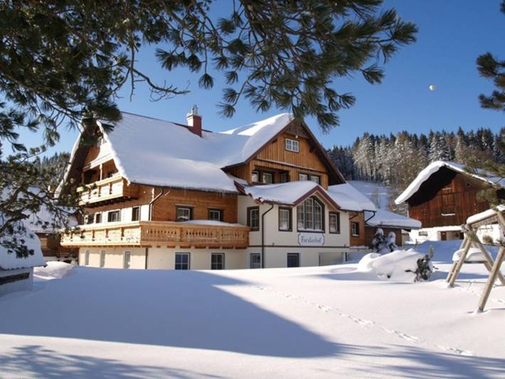 Ganze Ferienwohnung, Forsterhof - Appartement Gipfelglück in Ramsau am Dachstein, Schladming-Dachstein