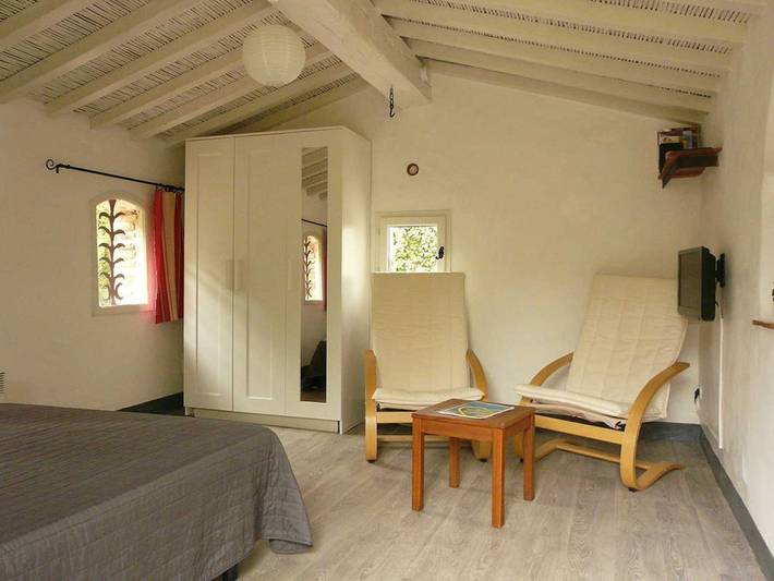 Els oliveres in Laroque-des-Albères, Côte méditerranéenne (France)