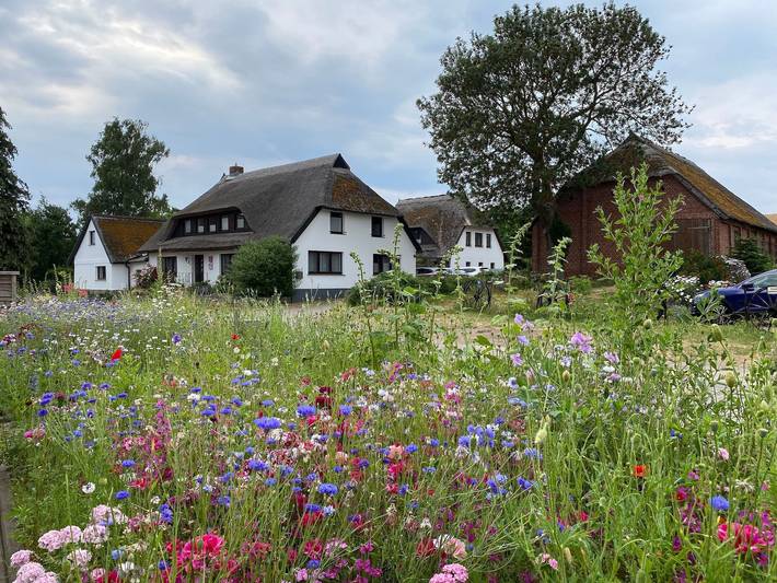 Ferienhaus für 6 Personen, mit Garten und Terrasse, kinderfreundlich in Groß Zicker - 2
