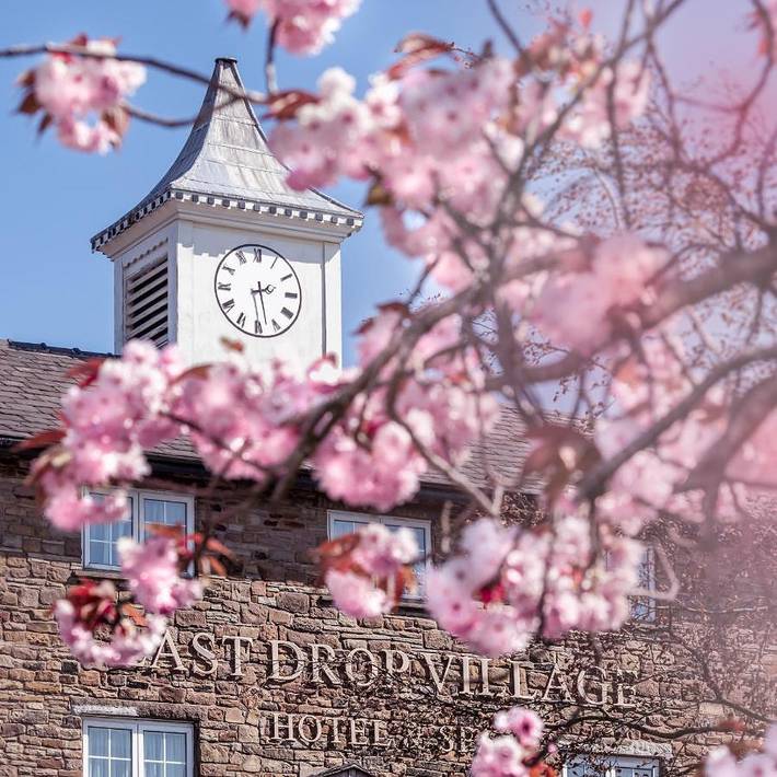 Hotel para 2 personas, con piscina además de sauna y jardín - 1