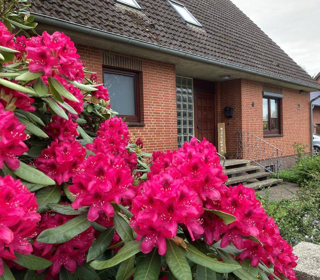 Ganze Wohnung, Ferienhaus Polley in Marschacht, Landkreis Harburg