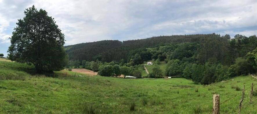 Casa de vacaciones para 8 personas, con jardín además de terraza y vistas, Se admiten mascotas en Cantabria - 4