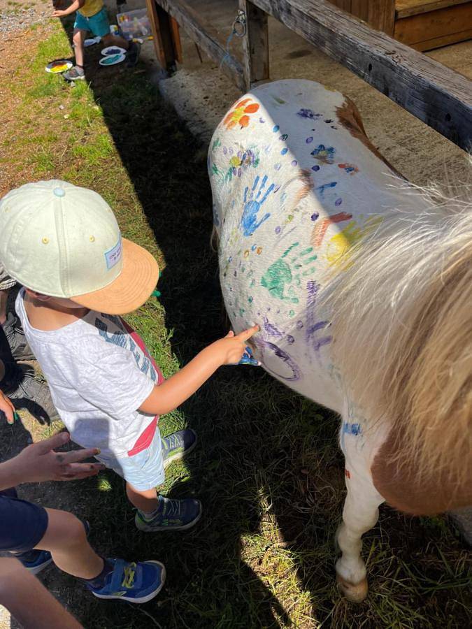 Maison de campagne pour 4 personnes, avec jardin ainsi que vue et terrasse, animaux acceptés à La Salvetat-sur-Agout - 2