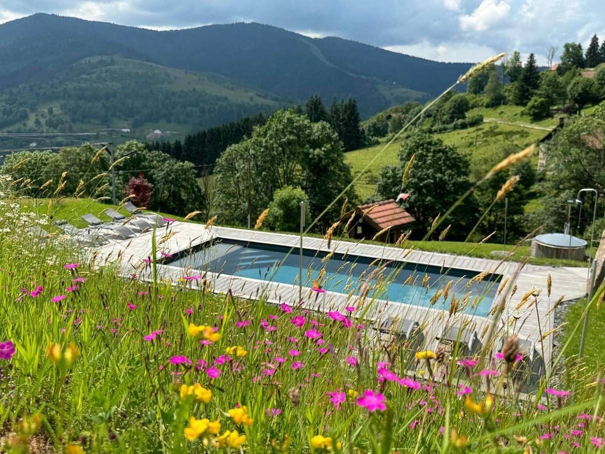 Chalet du Pommery, Hautes-Vosges in Bussang, Parc naturel régional des Ballons des Vosges