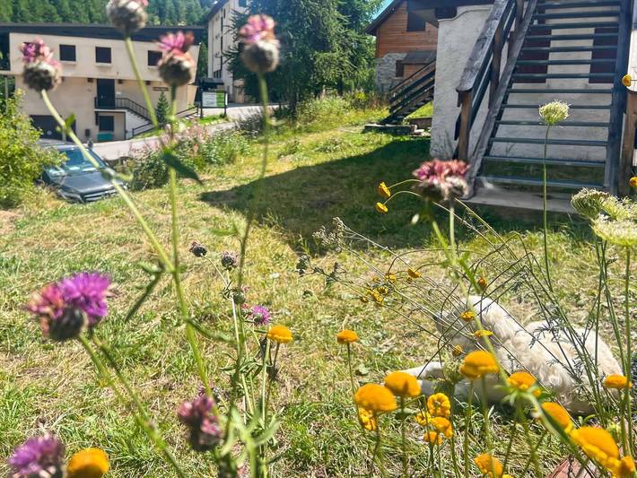 Chalet pour 6 personnes