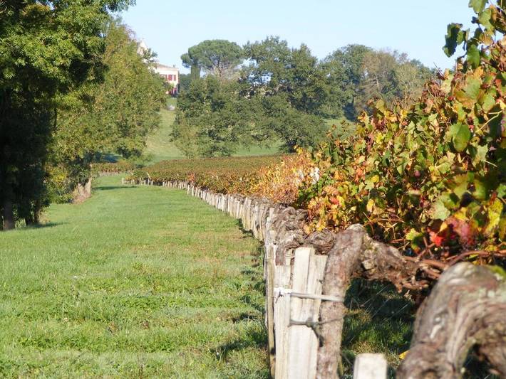 Location de vacances pour 3 personnes, avec vue ainsi que jardin et piscine à Lugon-et-l'Île-du-Carnay - 3
