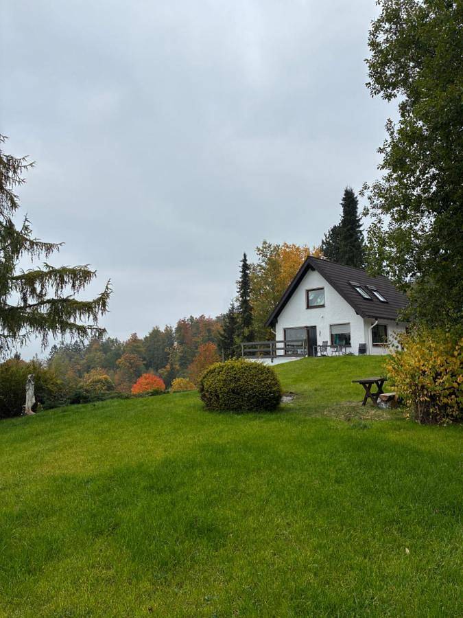 Ferienhaus für 6 Personen, mit Ausblick und Sauna sowie Garten und Pool in Stadtkyll