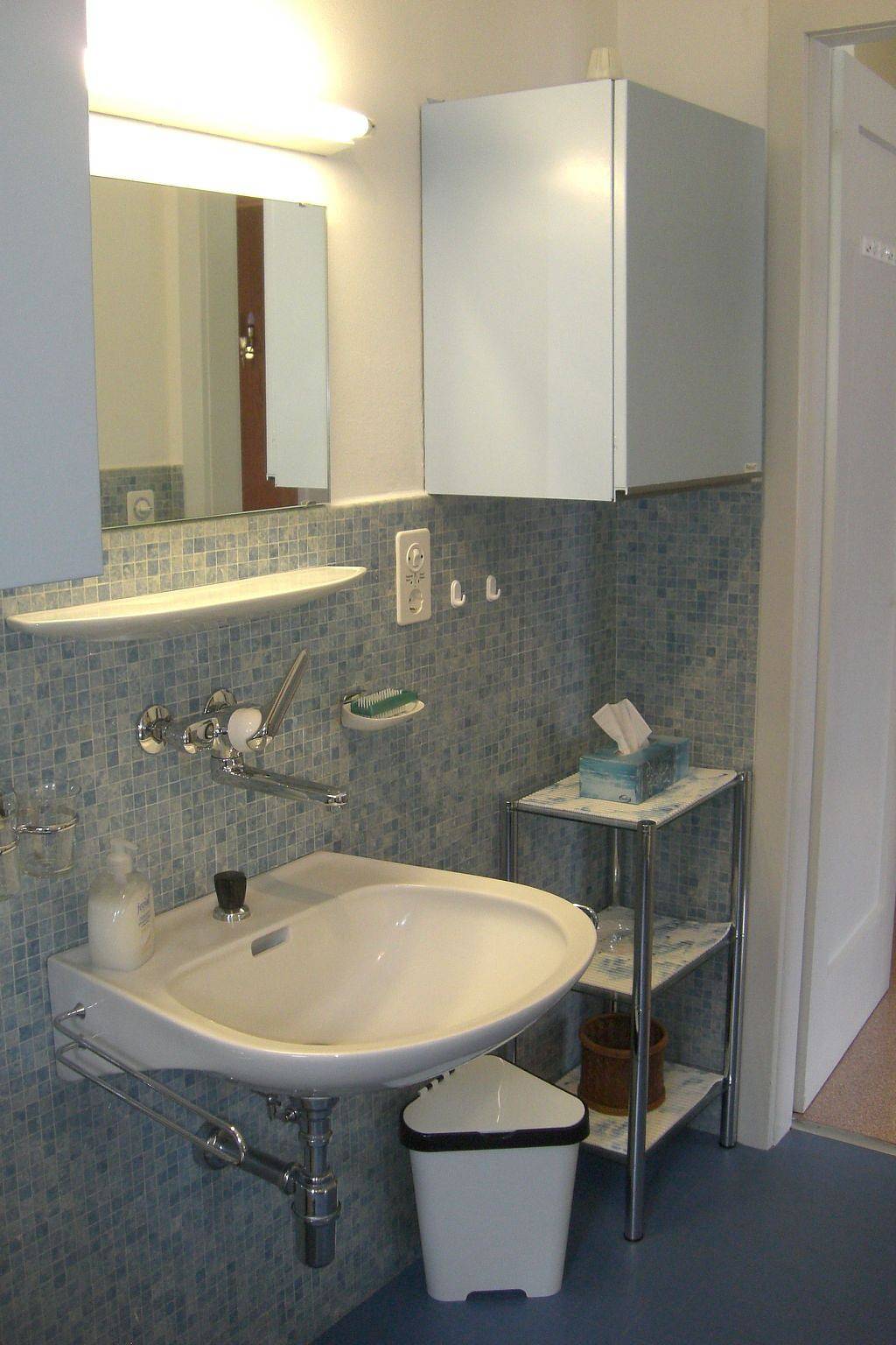 Ganze Wohnung, Casa Reduit Terrazza in Orselina, Tessiner Alpen