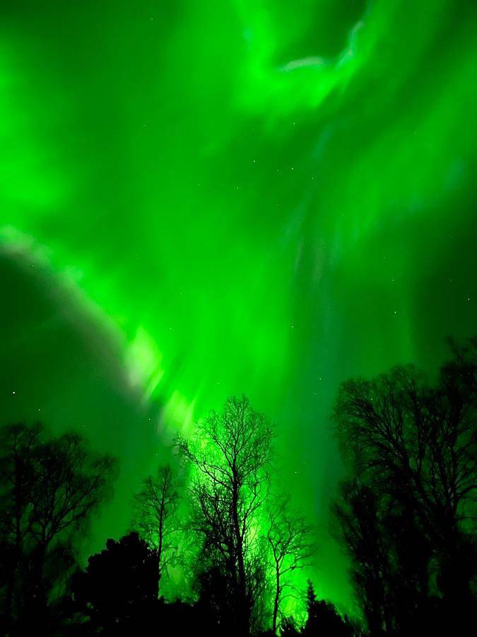 Gîte pour 4 personnes, avec vue et terrasse dans Narvik