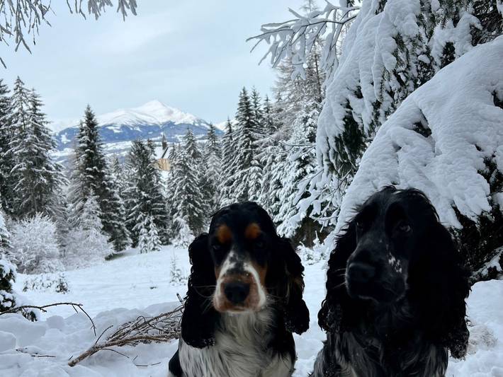 Umundum Hütte in Teufenbach-Katsch, Murau (Kreischberg)