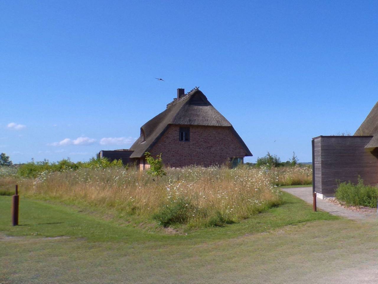 Malerhaus Seegras, das Reetdach Doppelhaus für 4-5 Personen mit schönem Birkblick. in Geltinger Birk, Nieby