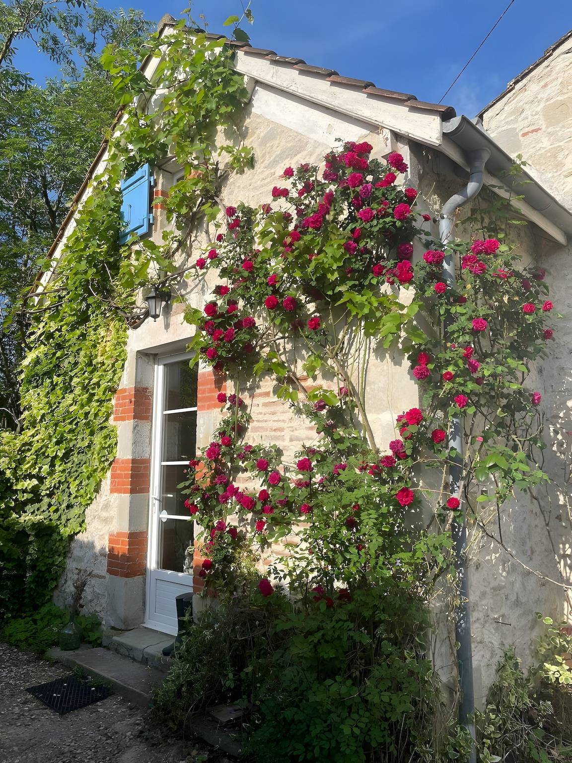 Retraite accueillante pour couples et leurs chiens in Penne-d'Agenais, Quercy