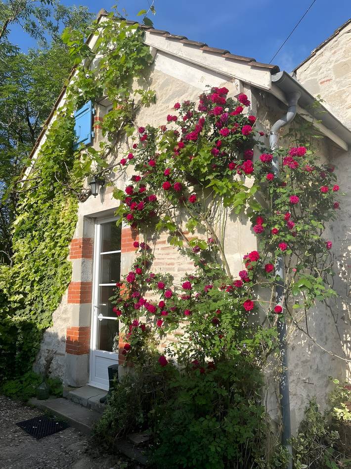 Vakantiehuis voor 4 personen, met Whirlpool in Lot-et-Garonne