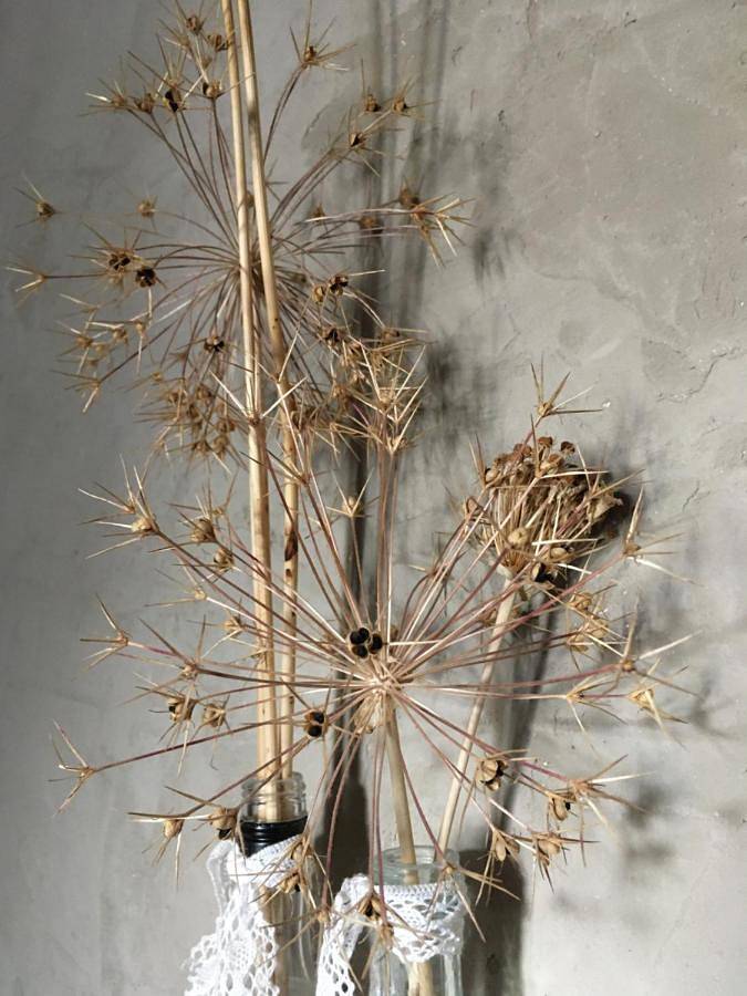 Gîte pour 2 personnes, avec terrasse à Luz-Saint-Sauveur - 2