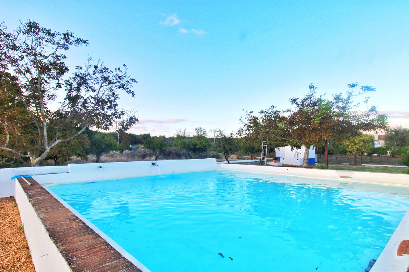 Casa Bungavilia - Roots of Alentejo in Alvito, Beja Distrikt