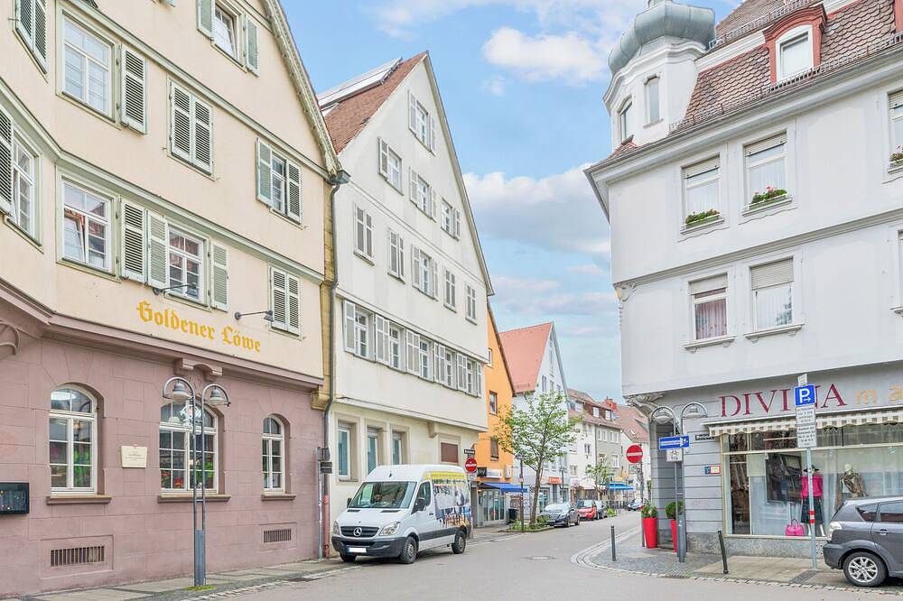 Ganze Wohnung, Elegantes City-Apartment in Bad Cannstatt, Stuttgart