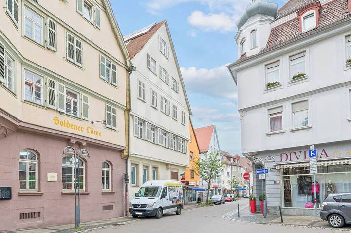 Ganze Wohnung, Elegantes City-Apartment in Bad Cannstatt, Stuttgart